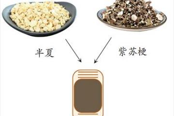半夏紫蘇梗敷臍緩解孕吐